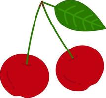 Hand drawn style fruit cherries vector