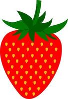 Hand drawn style drawing strawberry vector