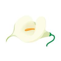 White calla icon, cartoon style vector