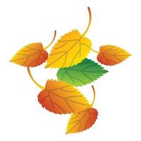icono de hojas de otoño, estilo isométrico vector