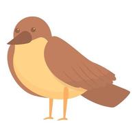 Forest sparrow icon cartoon vector. Tree bird vector