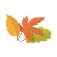 icono de dibujos animados de hojas de otoño vector