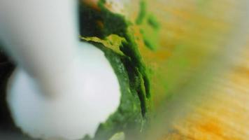 Macro shooting in a blender that shredded spinach video