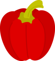 Hand drawn style bell pepper png