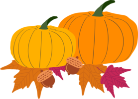 Thanksgiving Turkey Pumpkin Maple Leaf png