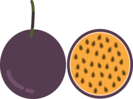 Hand drawn style drawing passion fruit png