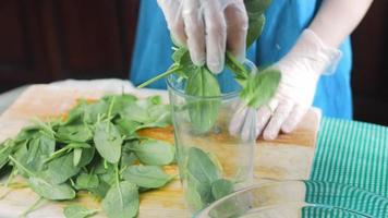 Macro shooting in a blender that shredded spinach video