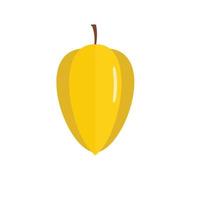 Carambola icon, flat style vector