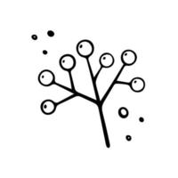 Hand drawn rowan branch, autumn element. Vector illustration in Doodle style. Isolated on white.