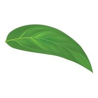 Green leaf peach mockup, realistic style vector