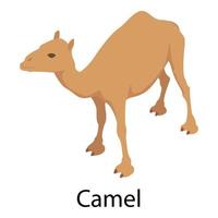 Camel icon, isometric style vector