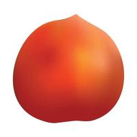 Peach mockup, realistic style vector