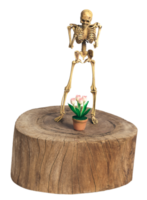 Skeleton stand isolated png