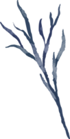 ilustración de ramas de acuarela gris aislado png