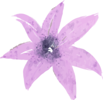 ilustração de flor em aquarela roxa isolada png