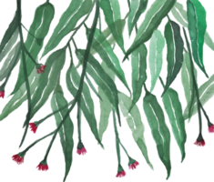 borda de folhas de aquarela verde linda png