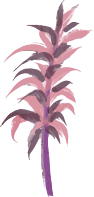 Brown Flowers PNGs for Free Download