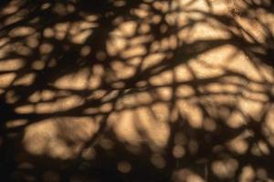 Soil floor texture with special light shadow of trees. photo