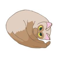 Cat icon, cartoon style vector