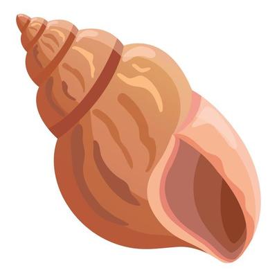 Beautiful shell icon, cartoon style