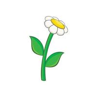 Chamomile icon in cartoon style vector