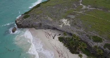 vue aérienne de la plage sauvage et de la côte de la barbade video