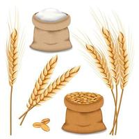 Barley spikelets mockup set, realistic style vector