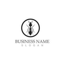 Ant logo  symbol icon vector illustration design