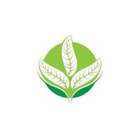 logotipos de la ecología de la hoja del árbol verde vector