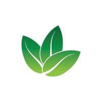 logotipos de la ecología de la hoja del árbol verde vector