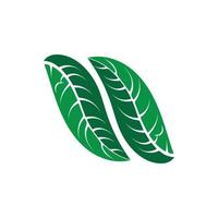 Logos of green tree leaf ecology vector
