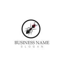 Ant logo  symbol icon vector illustration design