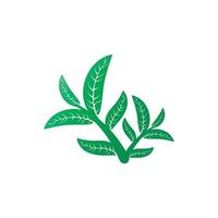 logotipos de la ecología de la hoja del árbol verde vector