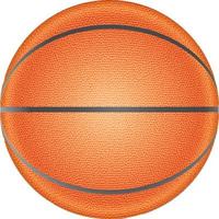 Realistic front view of a basketball vector