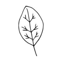 pear leaf hand drawn in doodle style. icon, sticker, decor element. sketch, monochrome, minimalism scandinavian vector
