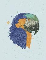 la ilustración de dibujado a mano de loro guacamayo tropical salvaje vector