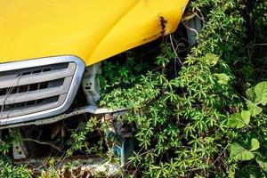 Old car inside the thickets of grass photo