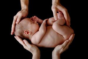 Cute newborn baby in the father's and mother's hands photo
