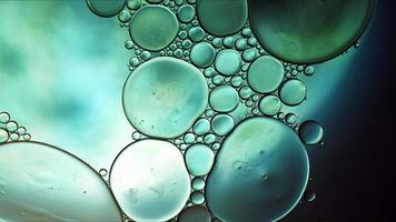 Abstract Colorful Food Oil Drops Bubbles and spheres Flowing on Water Surface photo