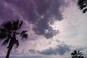 Dramatic sky with beautiful clouds and silhouette of palm trees photo