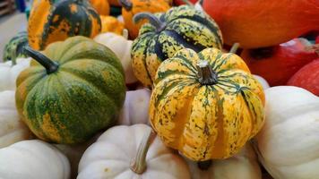 Close Up Pumpkin video