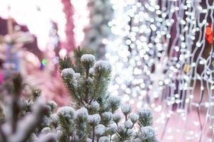 Christmas and New Year holiday background. Close-up of a Christmas tree in the snow against a background of bright lights. photo