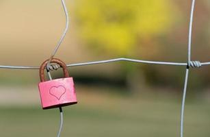 A small padlock hangs on a wire fence. The padlock is closed. The color is pink. A heart is engraved on the lock. The metal bracket is rusty. In the background washed out green landscape. photo