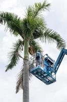 Gardener cutting branches on crane basket. unsafe concept photo