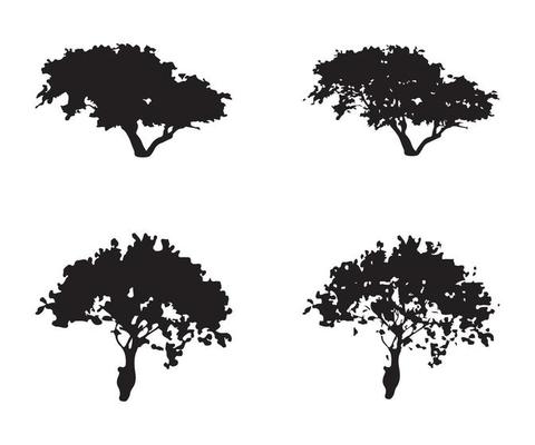 Tree silhouette vector. Isolated forest trees silhouettes in black on white background. Vector set of silhouettes of trees