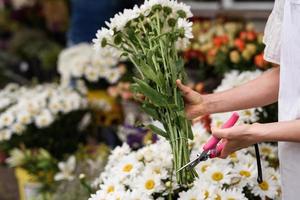 Woman florist cutting lower edge of flowers with sharp secateurs photo