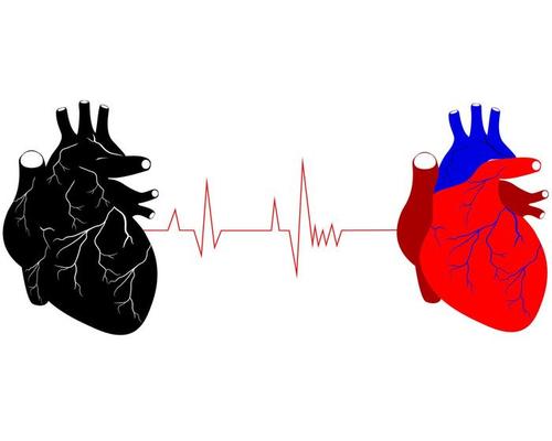 two human hearts in different colors black red