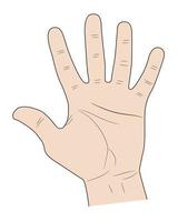 sign five fingers a palm up on white background vector