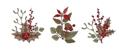 conjunto de composiciones botánicas navideñas con hojas de acebo y bayas, poinsettia y muérdago. ilustración vectorial en estilo boceto aislado sobre fondo blanco vector