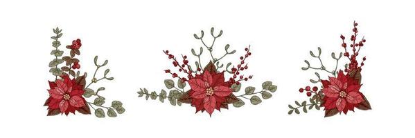 Set of Christmas botany compositions with poinsettia flower and mistletoe. Vector illustration in sketch style isolated on white background